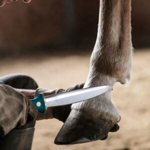 Hoof Knives