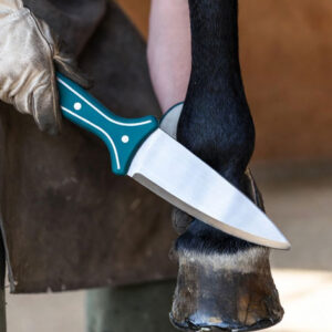 Professional Hoof Knives