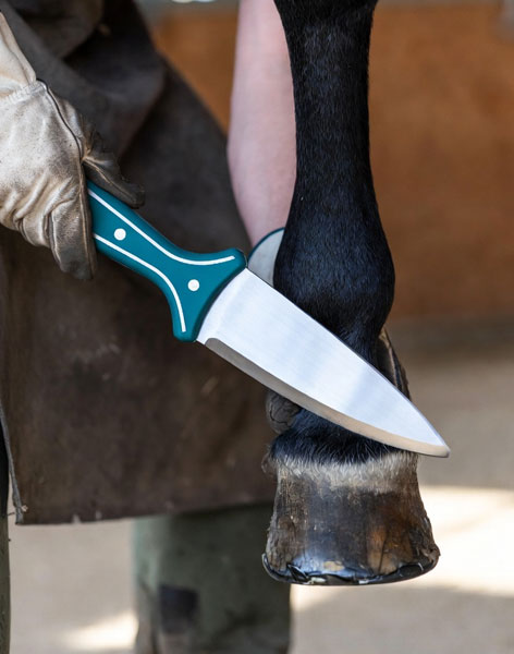 Professional Hoof Knives