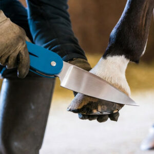 Folding Hoof Knives