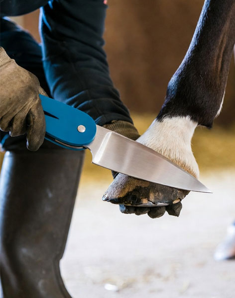 Folding Hoof Knives