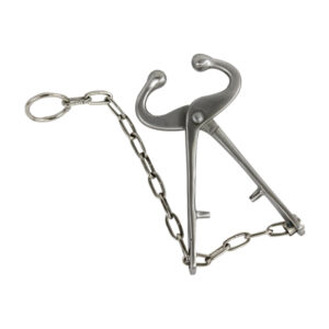 Bull Lead With Chain