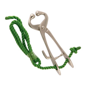 Bull Lead With Hook