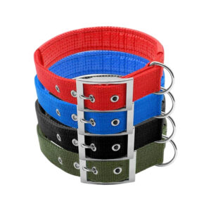 Dog Collar Nylon
