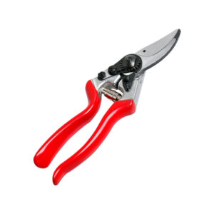 Foot Rot Shear