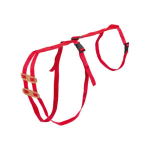 Ewe Truss Prolapse Harness