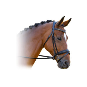 Red Barn Stride Dressage