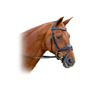 Elite Leather Bridle