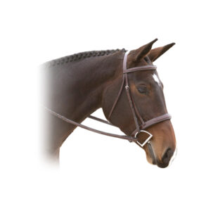 Red Barn Tryon Hunter Bridle