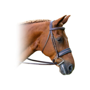 Red Barn Tryon Hunter Bridle Color: Brown