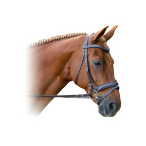 Black Oak Dogwood Bridle