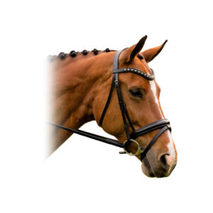 Red Barn Stride Dressage Bride Style: Flash | Crank Size: Cob | Color: Brown