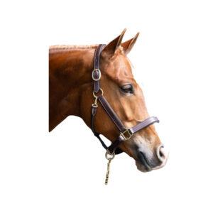 Red Barn Lainie Halter