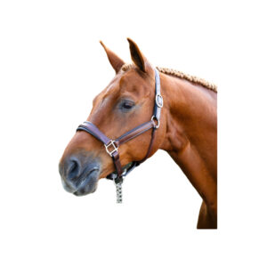 Red Barn Nicole Halter