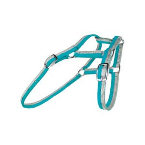 Sparkle Foal Halter