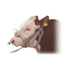 Heavy Duty Cow Halter Leather