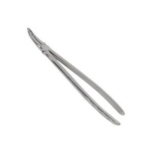 Long Wolf Teeth Root Forceps Forged Stainless Steel