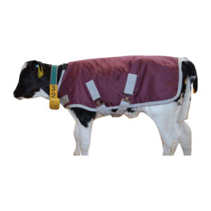 Calf Jacket 70cm Breathable 600D Ripstop Outer Shell, 200gsm Flees Insulation. Metal Buckles