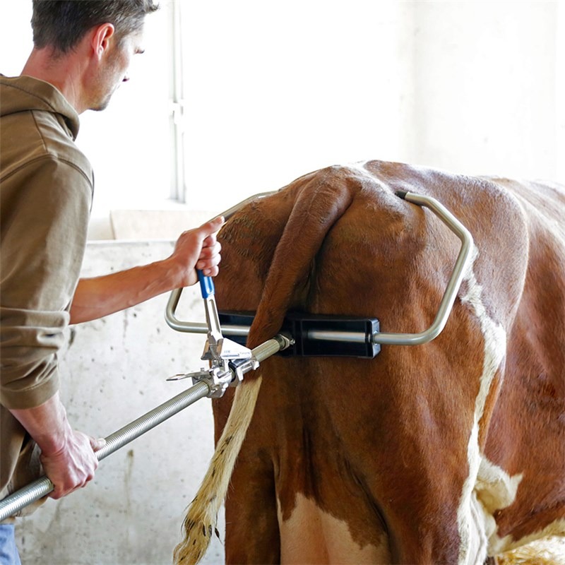 Calving Instruments