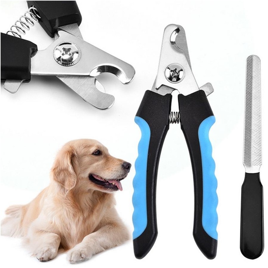 Dog & Cat Instruments