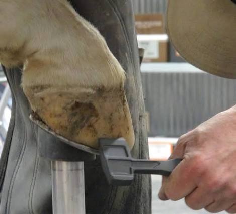 Clinch Cutter