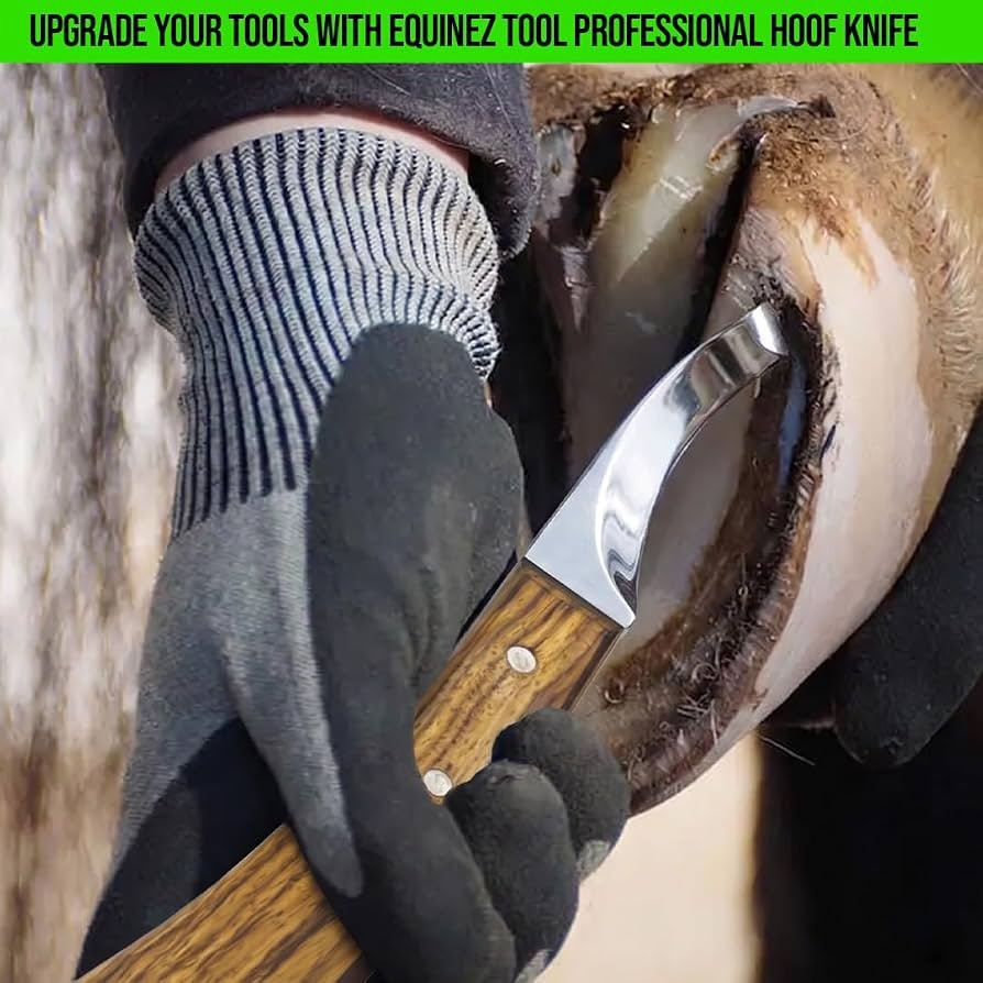 Professional Hoof Knives