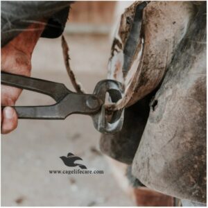 Hoof Nipper