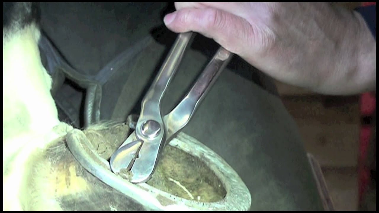 Nail Puller